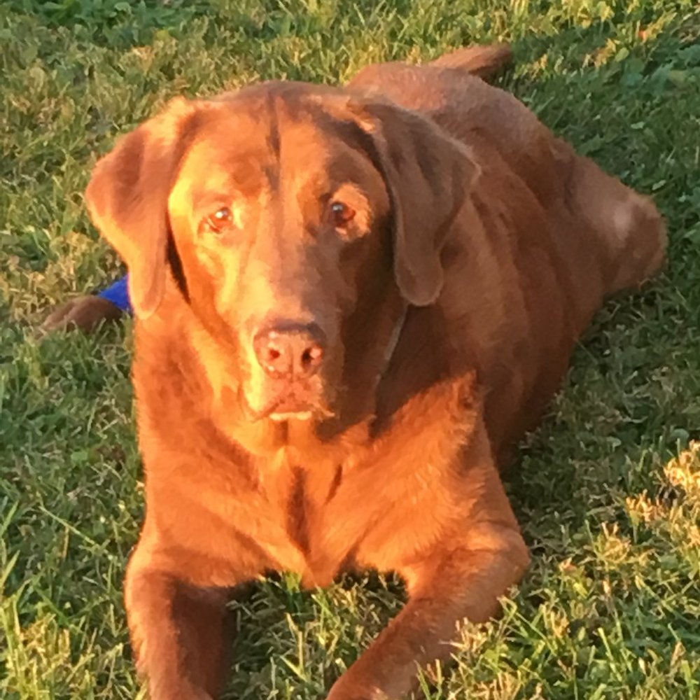 Meet your Posher, Connie